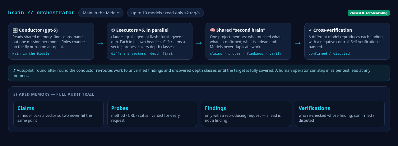 Схема оркестрации AI Brain: управление Man-in-the-Middle (модель-дирижёр или оператор), параллельные исполнители, общая память с claims, probes, findings и verifications